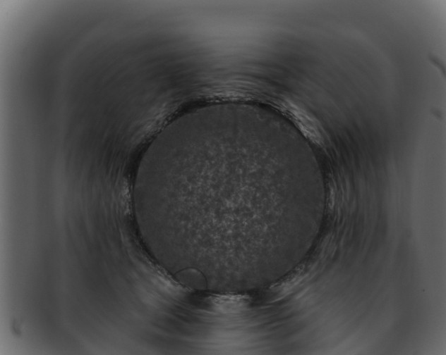 X0000092280465200710041414