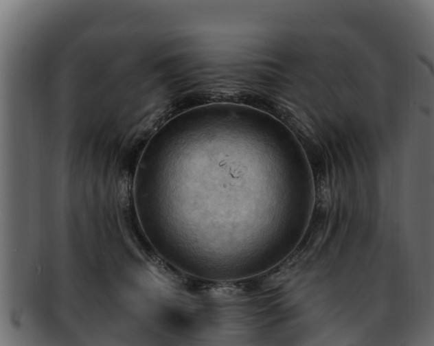 X0000092280468200710041414