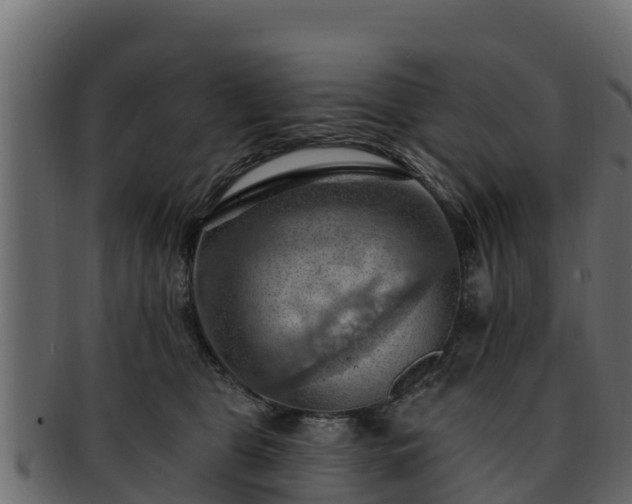 X0000092280469200710041414