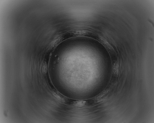 X0000092280474200710041414