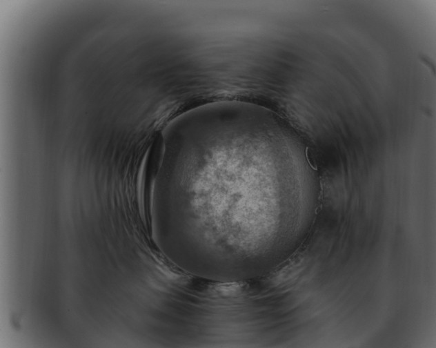 X0000092280479200710041414