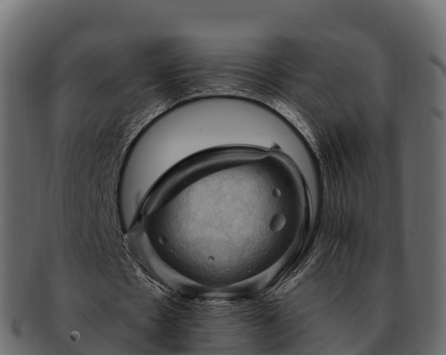 X0000092280481200710041413