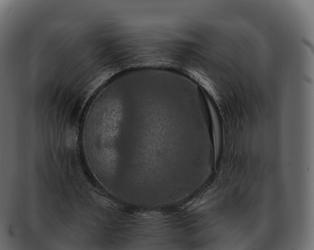 X0000092280483200710041413