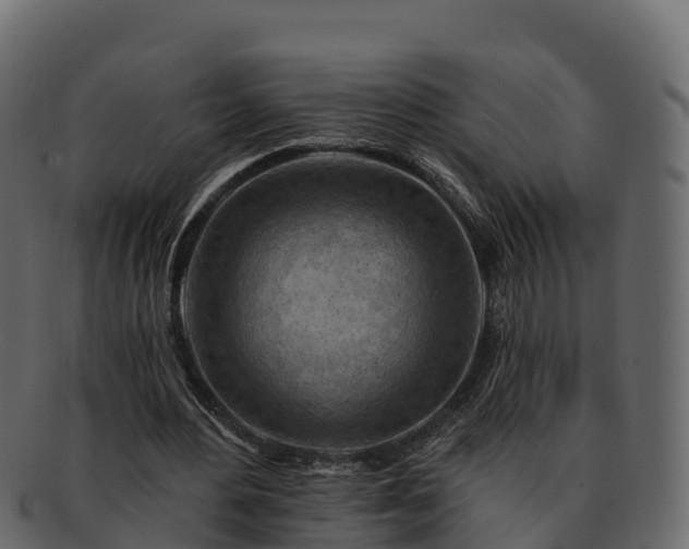 X0000092280484200710041413