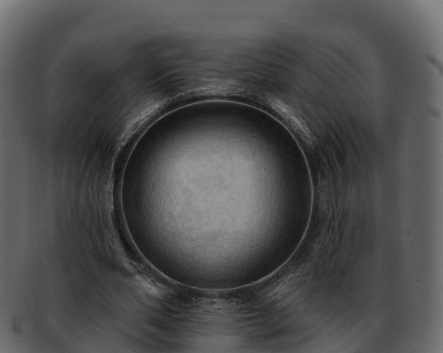 X0000092280486200710041413