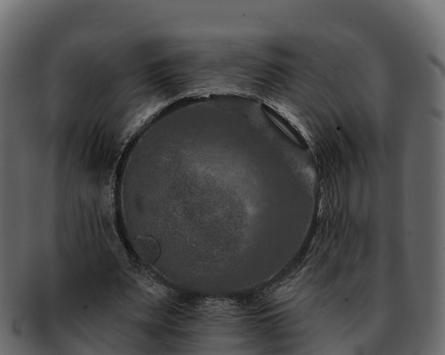 X0000092280487200710041413