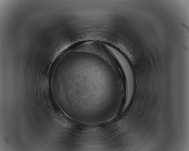 X0000092280488200710041413