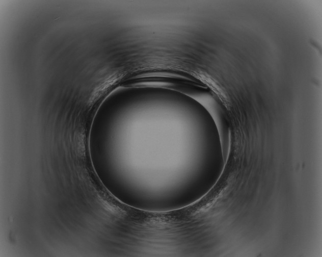 X0000092280489200710041413