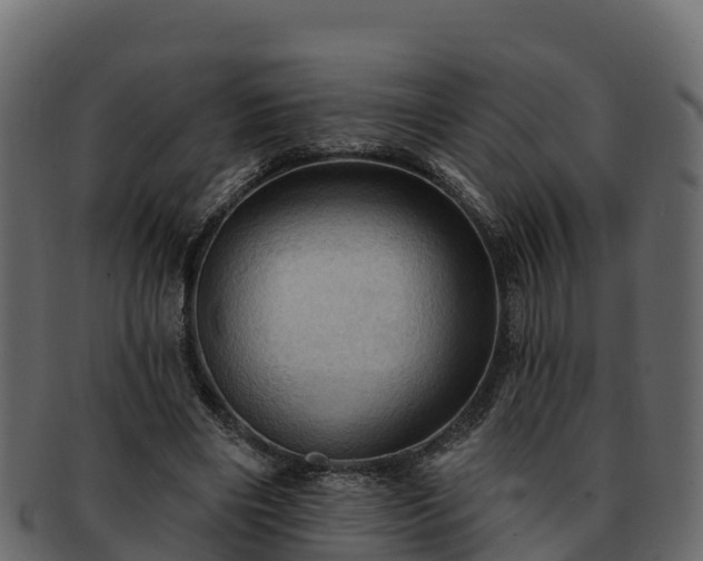 X0000092280490200710041413