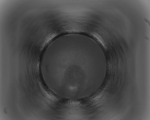 X0000092280491200710041413