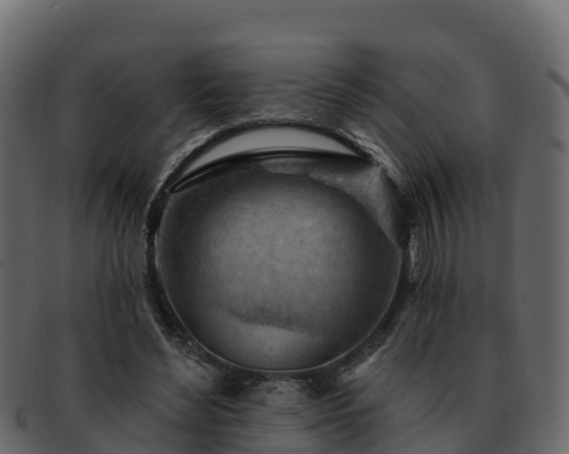 X0000092280492200710041413