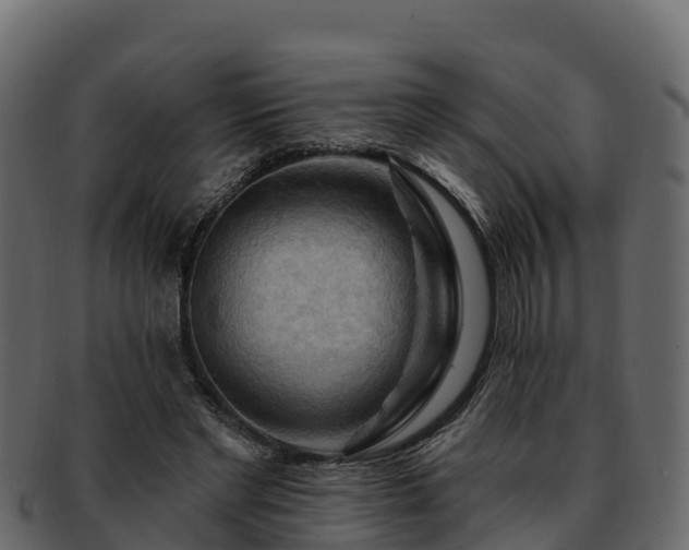 X0000092280493200710041413