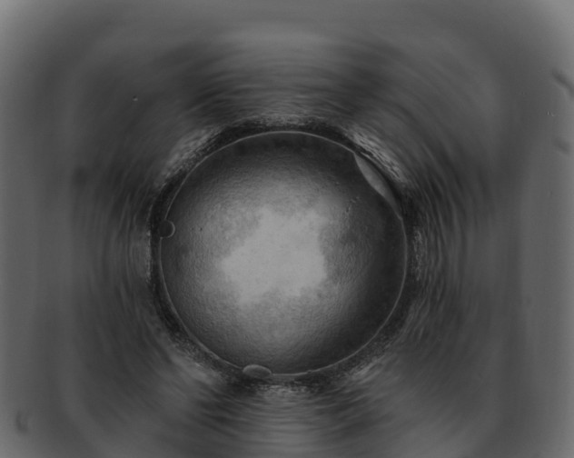 X0000092280494200710041413