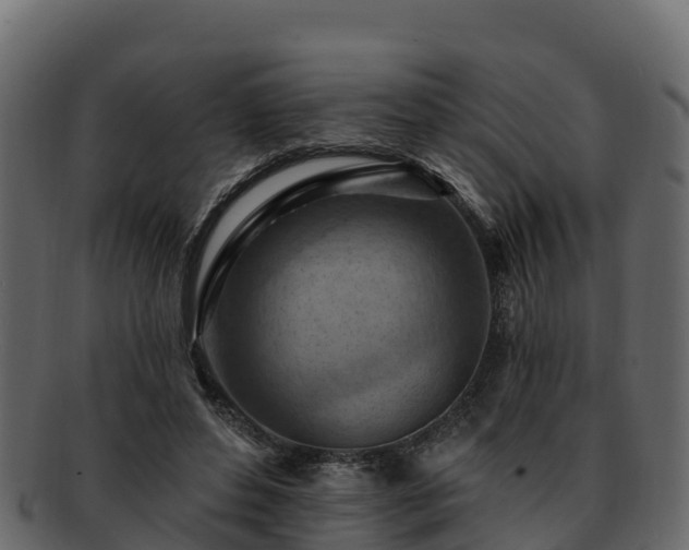 X0000092280496200710041413