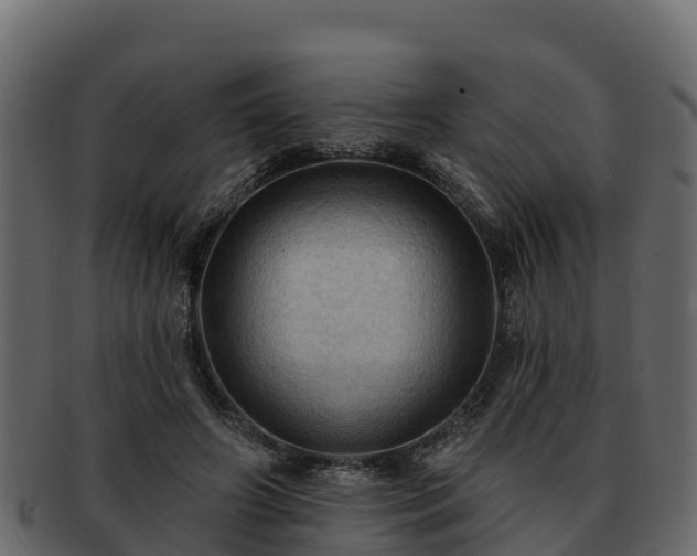 X0000092280498200710041413