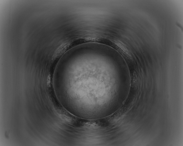 X0000092280502200710041413