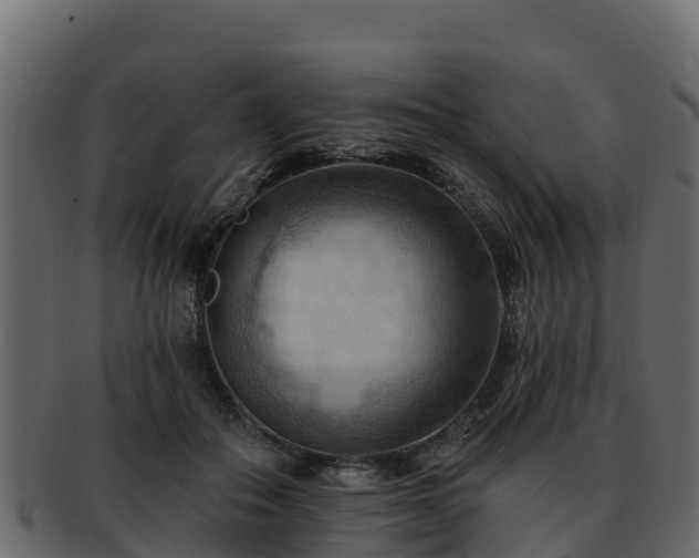 X0000092280506200710041413