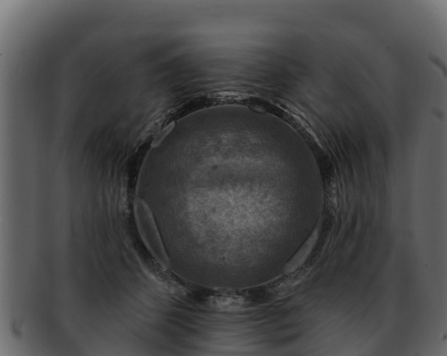 X0000092280512200710041413