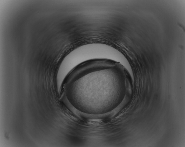 X0000092280516200710041413