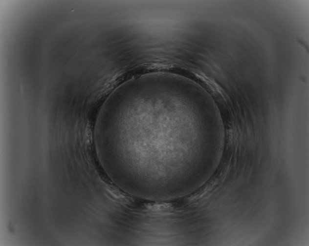 X0000092280517200710041413