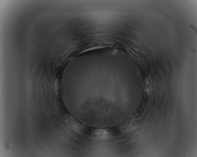 X0000092280519200710041413