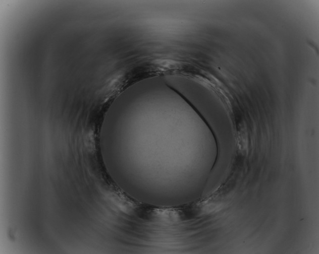 X0000092280520200710041413