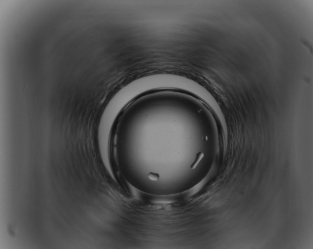 X0000092280524200710041413