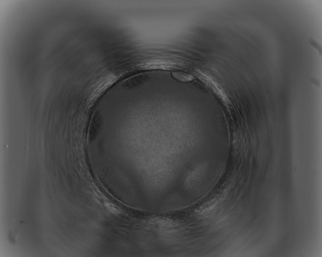 X0000092280529200710041412