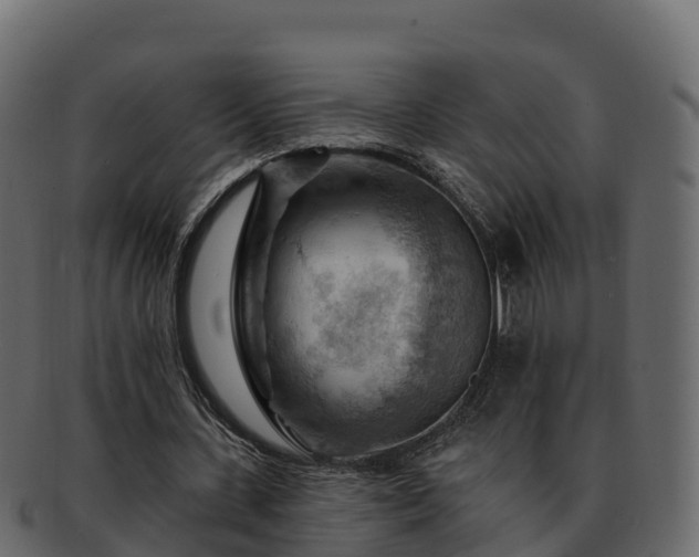 X0000092280531200710041412