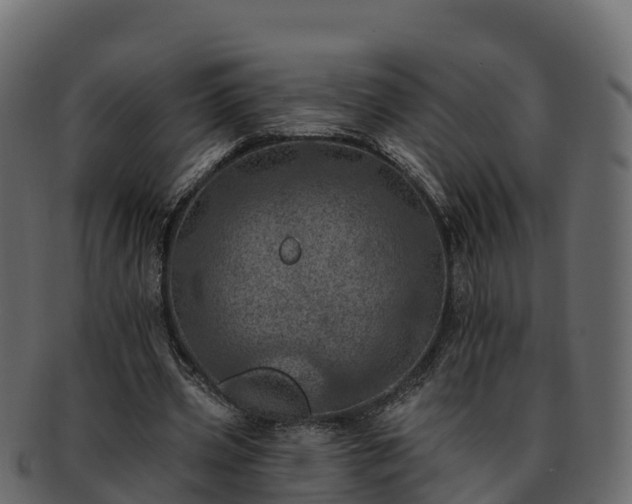 X0000092280533200710041412