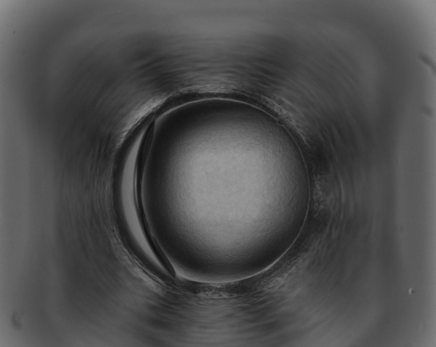 X0000092280535200710041412