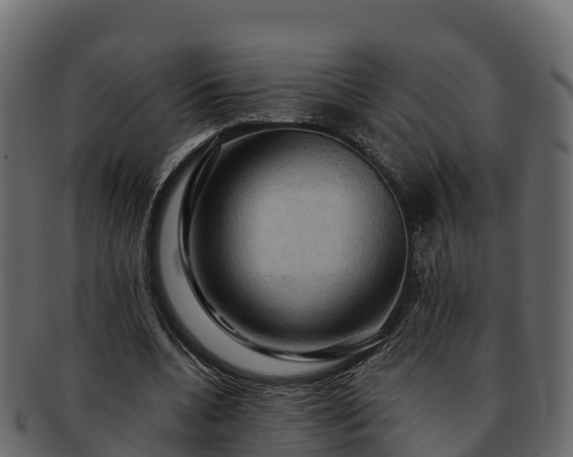 X0000092280536200710041412