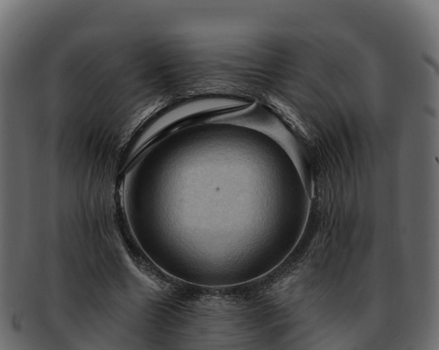 X0000092280538200710041412