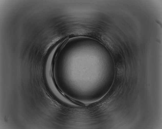 X0000092280539200710041412