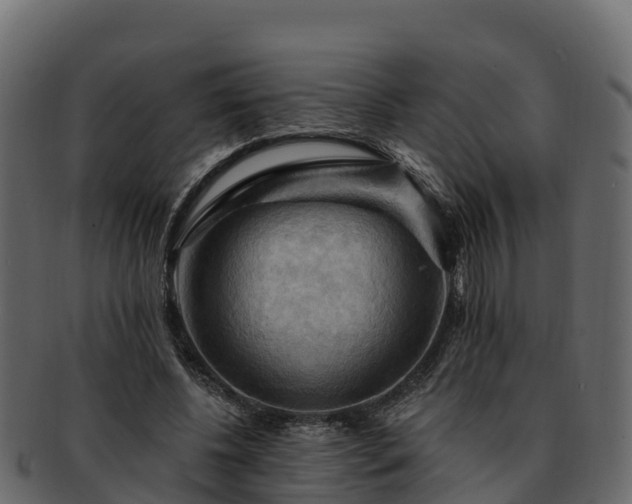 X0000092280540200710041412