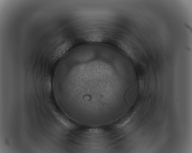 X0000092280541200710041412