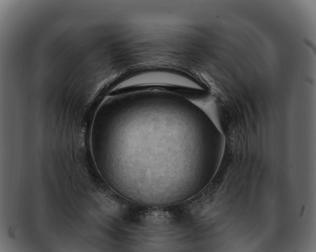 X0000092280543200710041412