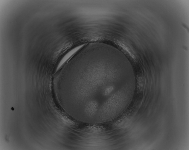 X0000092280545200710041412