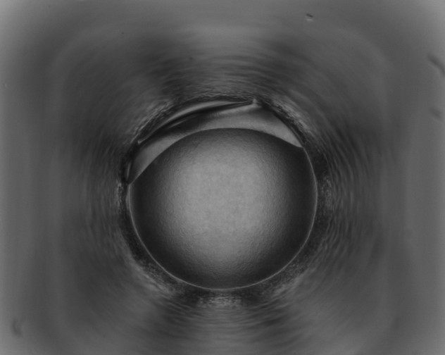 X0000092280546200710041412