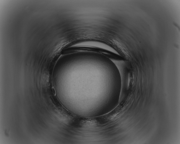 X0000092280548200710041412