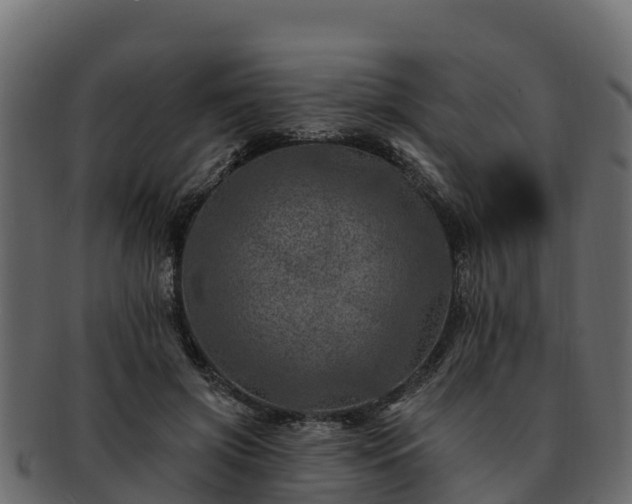 X0000092280549200710041413