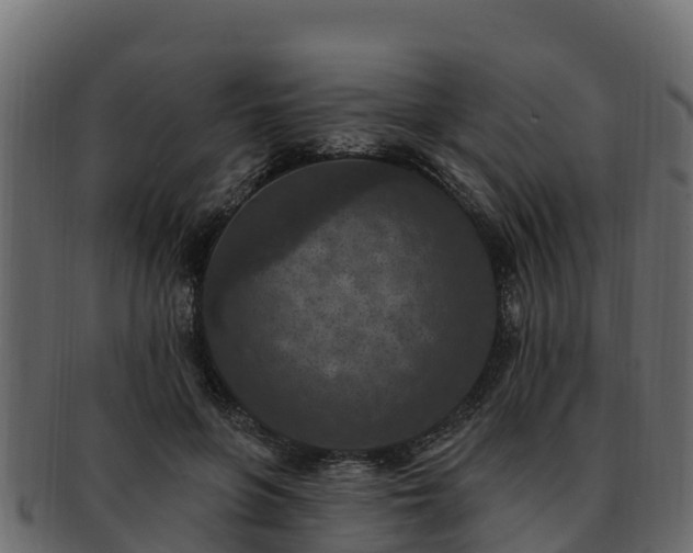 X0000092280551200710041413