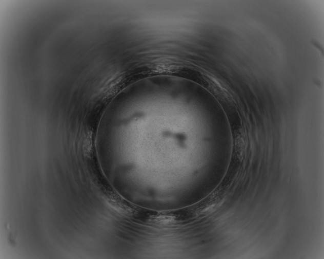 X0000092280554200710041413