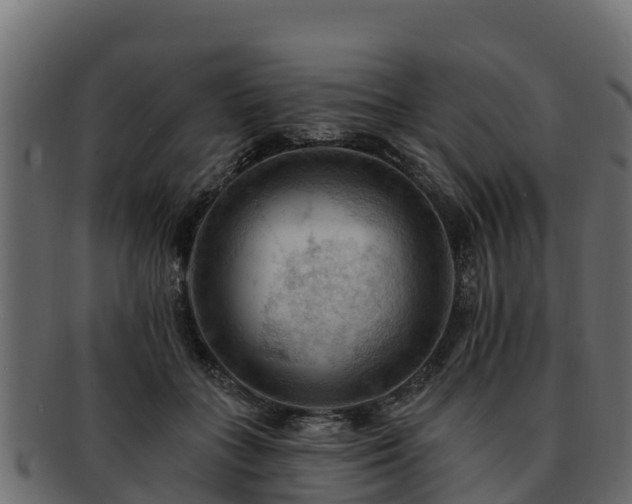 X0000092280555200710041413