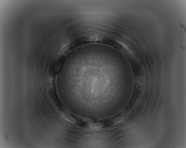 X0000092280556200710041413