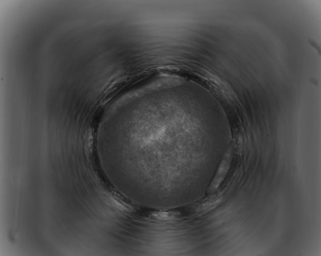 X0000092280558200710041413