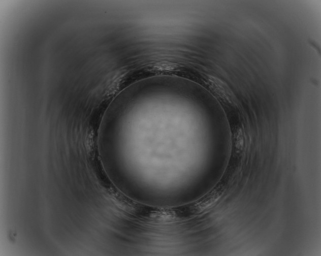 X0000092280559200710041413