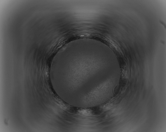 X0000092280561200710041413