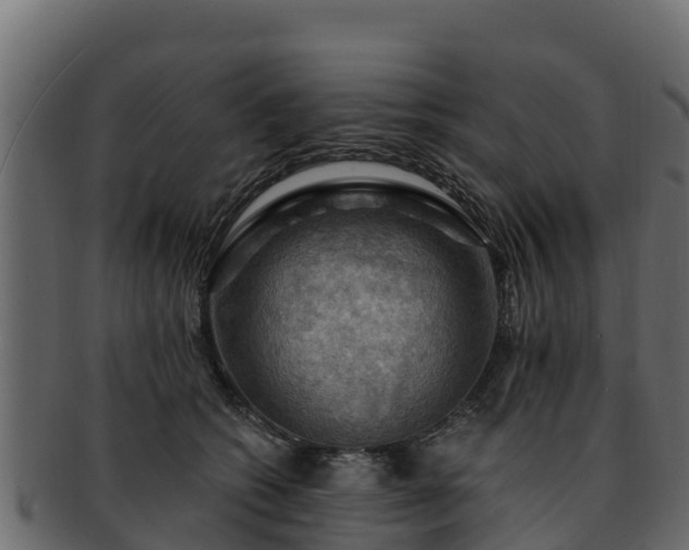 X0000092280562200710041413