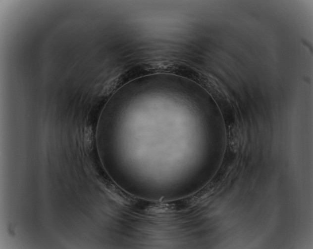 X0000092280563200710041413